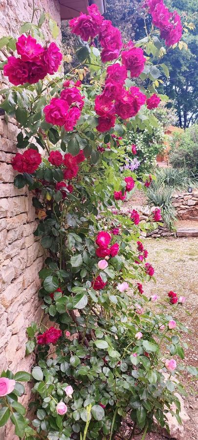 Aux Couleurs D'Esteil Sainte-Nathalène Εξωτερικό φωτογραφία